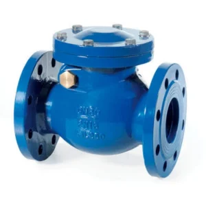 Check Valves
